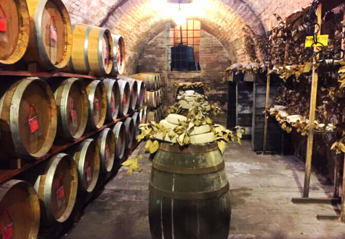 Подземные подвалы с сыром и вином на тосканской винодельне.