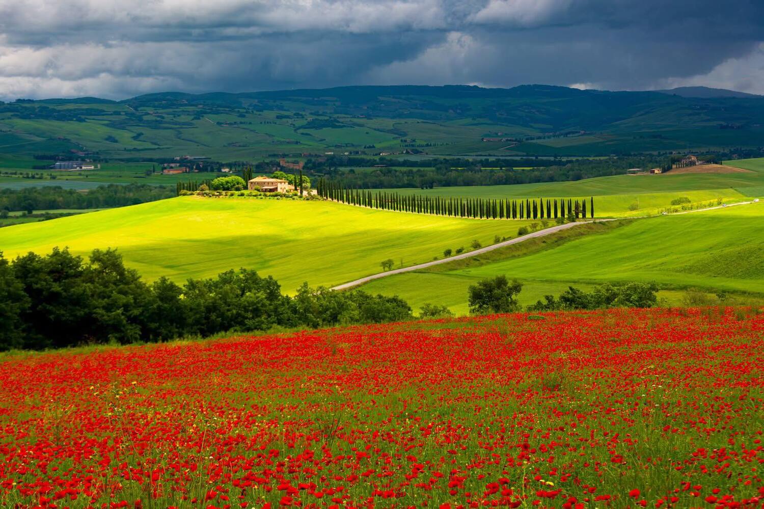 <span style="font-weight: bold;">На 1 день в Тоскану с гидом из Рима</span><br>